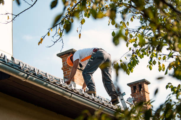 Roof Installation Near Me in Lavonia, GA