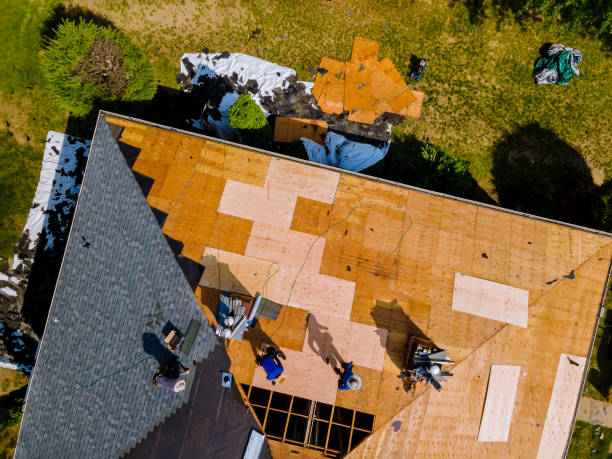 Best Roof Replacement Cost  in Lavonia, GA