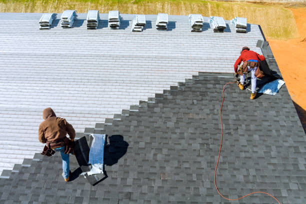 Best Metal Roofing Contractor  in Lavonia, GA