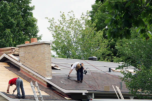 Best Roof Leak Repair  in Lavonia, GA