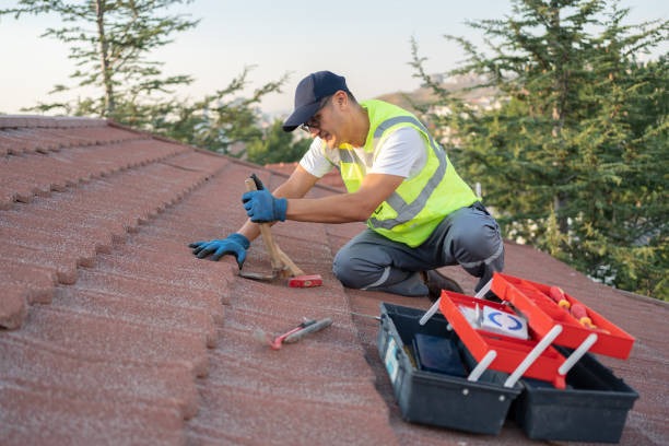 Best Residential Roofing Contractor  in Lavonia, GA