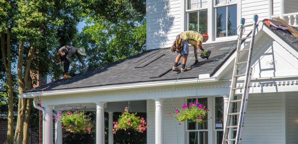 Best Roof Gutter Cleaning  in Lavonia, GA