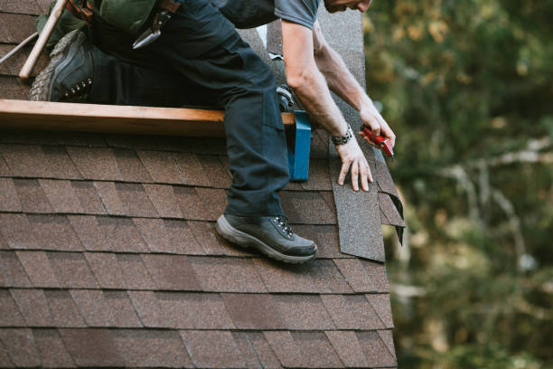 Best Gutter Installation and Roofing  in Lavonia, GA