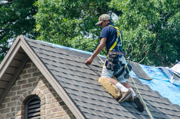 Best Local Roofing Companies  in Lavonia, GA